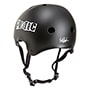 PRO-TEC OLD SCHOOL SKATE / THE BUCKY PUNK